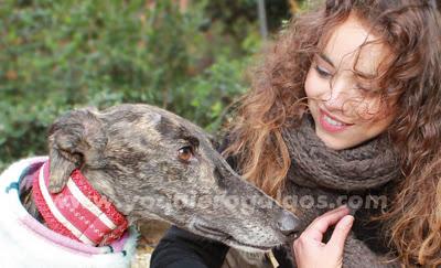 La galga Dulcinea junto a CHENOA