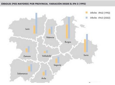 El crecimiento del bosque en Castilla y León