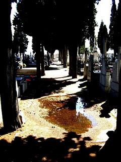 19 / 12 / 10 19 / 12 / 10