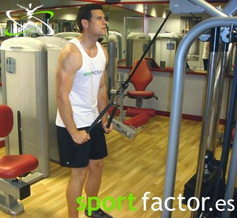Extensiones de Tríceps en polea alta, agarre cuerda Como entrenar los brazos en 15 minutos (de forma efectiva)