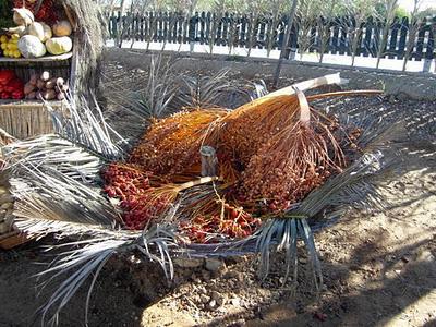 Feliz Navidad !!! Belen viviente de Corrales... Feliz Navidad !!! Belen viviente de Corrales...