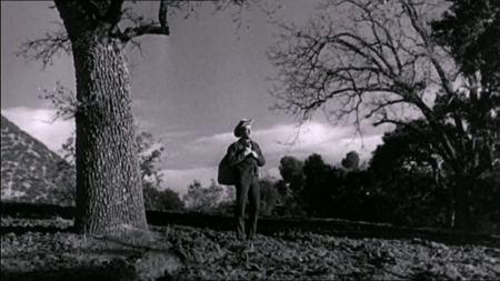 Dos o tres cosas que se de él. Lo que queda de Nicholas Ray. Dos o tres cosas que se de él. Lo que queda de Nicholas Ray.
