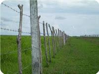 Sagua la Grande; Boletín espcial del CESAM. Centro de Creación de Capacidades para el .Manejo Integrado Costero. Sagua la Grande; Boletín espcial del CESAM. Centro de Creación de Capacidades para el .Manejo Integrado Costero.