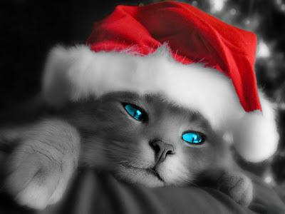 ¡OS DESEO FELICES FIESTAS! ¡OS DESEO FELICES FIESTAS!