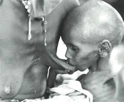 Imágenes de 2011, un año dramático Imágenes de 2011, un año dramático