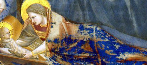 Natività_giotto Natività_giotto