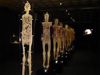 Exposición Human BODIES, conoce las entrañas de tu cuerpo.