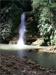 Cascada Viva Cascada Viva