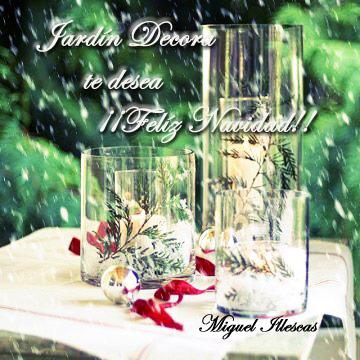 Feliz Navidad 2011 Feliz Navidad 2011