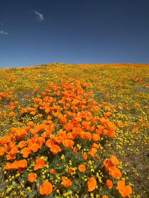 Lancaster, California.