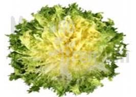 Ensalada de invierno con escarola Ensalada de invierno con escarola