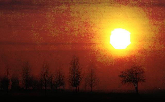 Sol Amarillo 2012 sin oposiciones