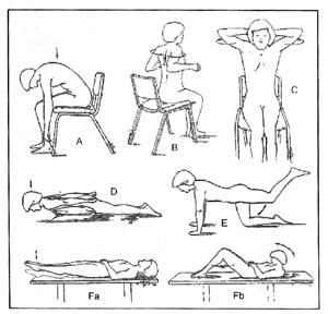 Ejercicios de rehabilitación recomendados para pacientes con Osteoporosis Ejercicios de rehabilitación recomendados para pacientes con Osteoporosis