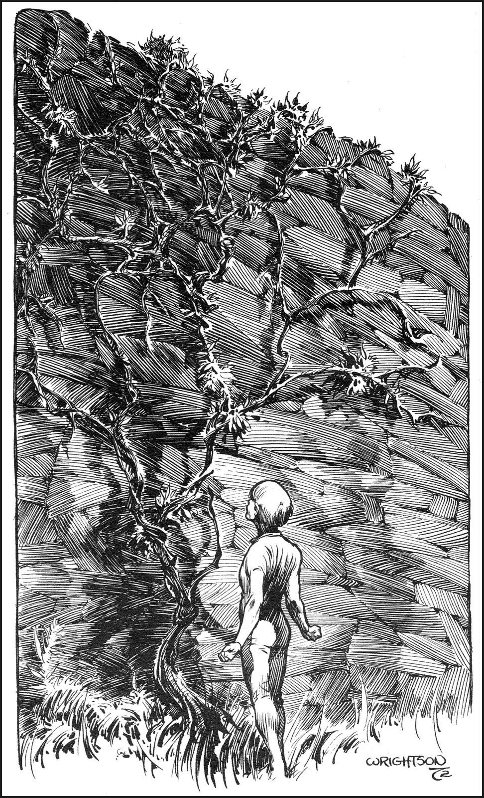 Berni Wrightson – The House of Mystery Berni Wrightson – The House of Mystery