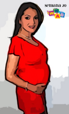 Semana 20: Debutando mi barriga de embarazada
