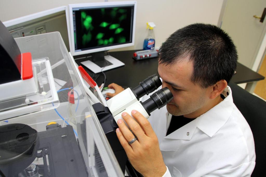 Se publicarán nuevas teorías acerca del Alzheimer Se publicarán nuevas teorías acerca del Alzheimer