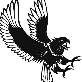 Águila en modo ataque Águila en modo ataque