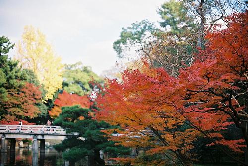 Seminario de Jardines Japoneses 2012 Garden of Shusuitei, Kyoto Imperial Palace