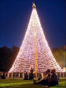 christmas tree south africa EL LABERINTO DE LA AUSENCIA (42): Sí, sabemos que es Navidad