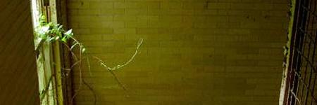 © Tom Kirsch - Kings Park Psychiatric Center, Estados Unidos © Tom Kirsch - Kings Park Psychiatric Center, Estados Unidos