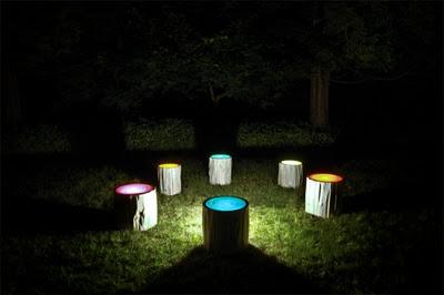 Troncos iluminados Troncos iluminados