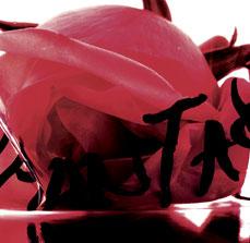 rosa-salvaje PIEL DE ROSA