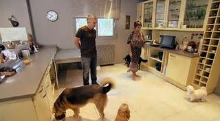 El líder de la manada - Capítulo 6 El líder de la manada - Capítulo 6