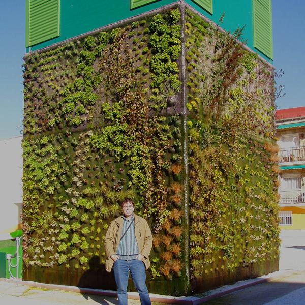 La evolución del jardín vertical de Getafe. La evolución del jardín vertical de Getafe.