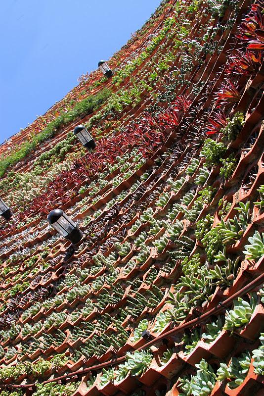 Jardín vertical en Ibiza