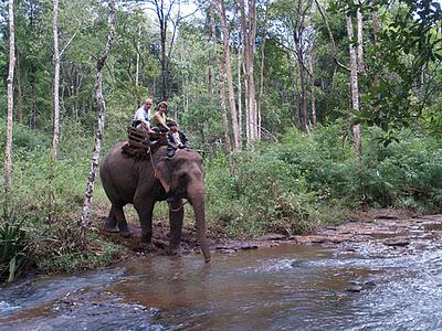 Las onduladas colinas de Mondulkiri - Camboya