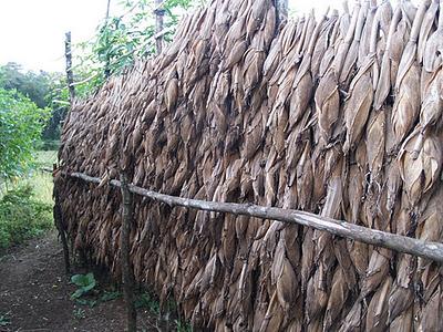 Las onduladas colinas de Mondulkiri - Camboya