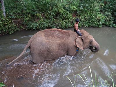 Las onduladas colinas de Mondulkiri - Camboya