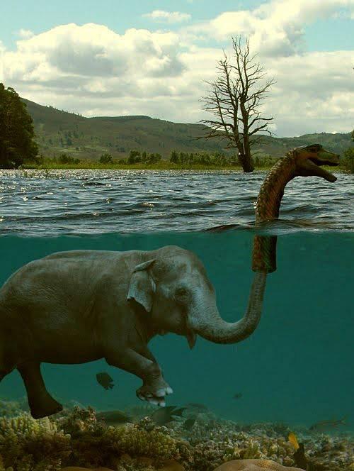 elefante Desmontando teorías…