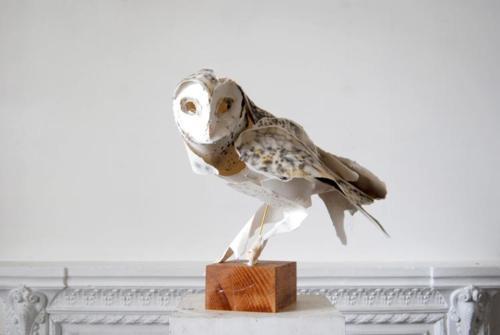 Esculturas de animales de papel por Anna-Wili Highfield