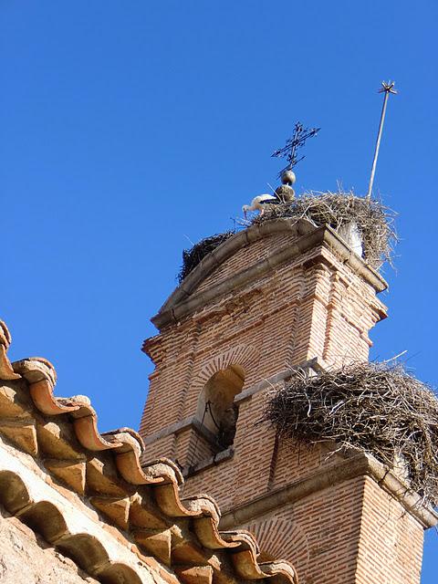 El viaje a Ávila /アビラ旅行