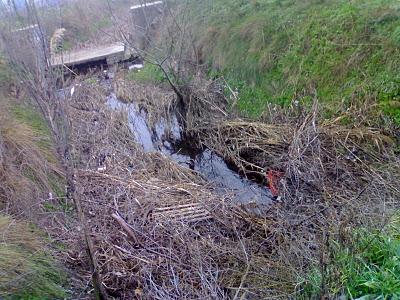 Lo que no me gusta de mi ciudad: Lo que no me gusta de mi ciudad: