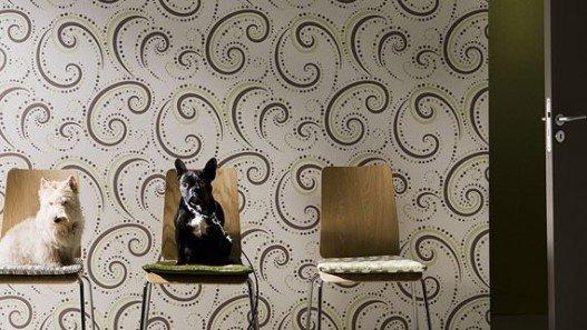 Akoya Últimos regalos a un día de la noche de reyes