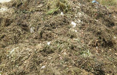 El compost de biorresiduos como componente de sustratos El compost de biorresiduos como componente de sustratos