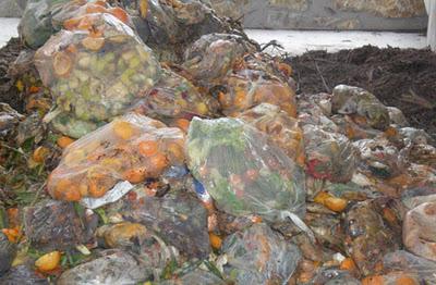 El compost de biorresiduos como componente de sustratos El compost de biorresiduos como componente de sustratos