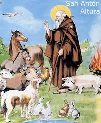 San Antonio Abad y los animales
