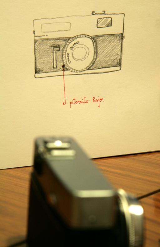 eL PiToRRiTo RoJo. LeTiH. NoS VeMoS eN La CaLLe