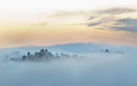 28 fotografías impresionantes de niebla