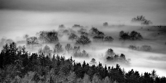 28 fotografías impresionantes de niebla