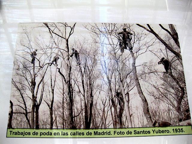 Exposición de Jardinería en el Retiro Exposición de Jardinería en el Retiro