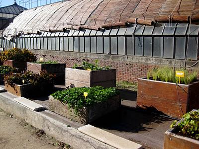 Exposición de Jardinería en el Retiro Exposición de Jardinería en el Retiro