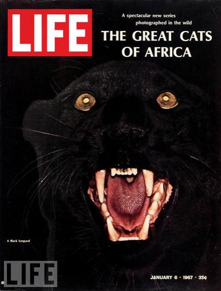 life-75. 19 11.42 Cronica Visual: Las mejores 75 portadas de la revista LIFE