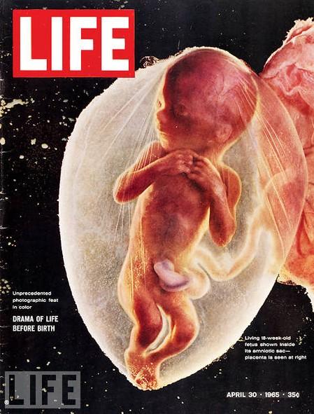 life-75. 19 11.43 Cronica Visual: Las mejores 75 portadas de la revista LIFE