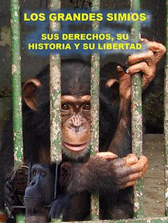 EFECTO ESMERALDA EFECTO ESMERALDA