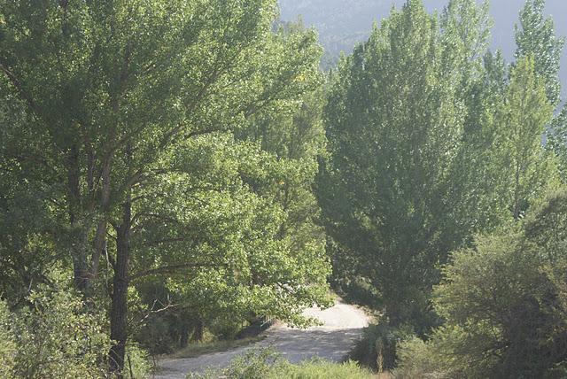 Laguna de Taravilla, alto Tajo, Guadalajara