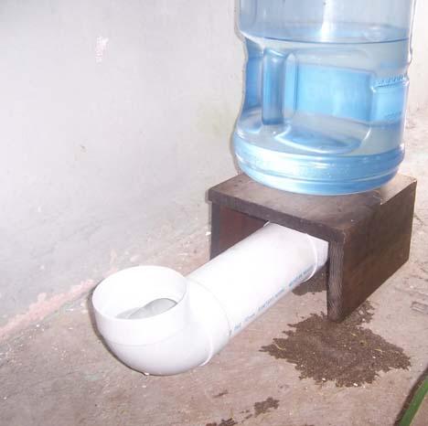 DISPENSADOR COMIDA PERRO dispensador comida perro: